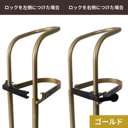 [Limited Edition] iWA A01V Special - Gold
