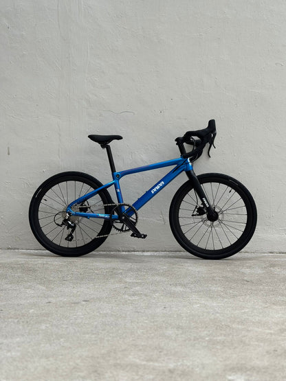 Papa Bike Fast Race 451 - Green