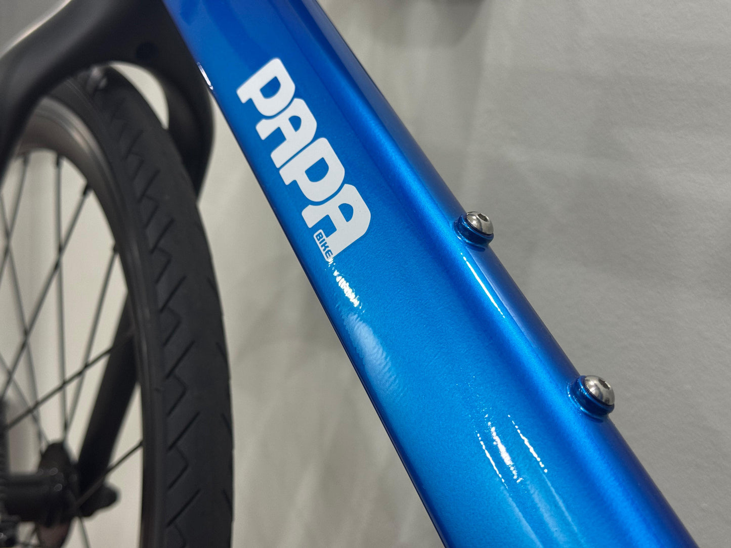Papa Bike Fast Race 451 - Green