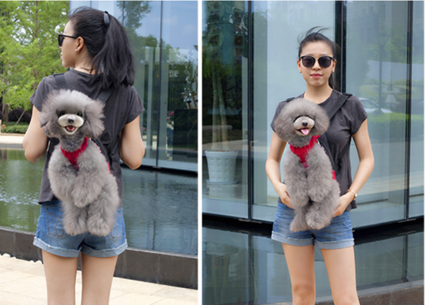 FYONGPET Dog/Cat Backpack Carriers - Small